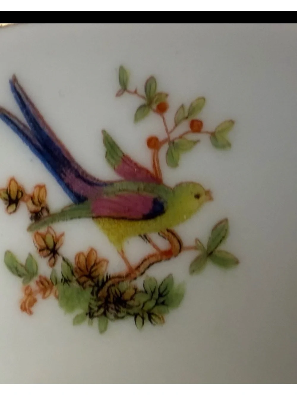 Vintage Bohemia Eden Czechoslovakia Bird Floral Porcelain Saucer Gold Trim
